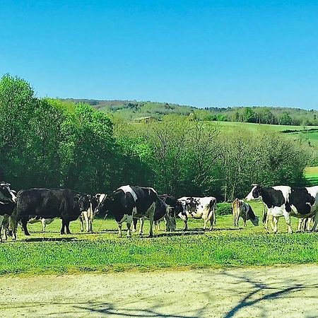 « Le Vieux Hangar » Gite A La Ferme Le Buisson-de-Cadouin Luaran gambar