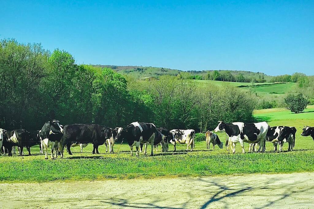 « Le Vieux Hangar » Gite A La Ferme Le Buisson-de-Cadouin Luaran gambar